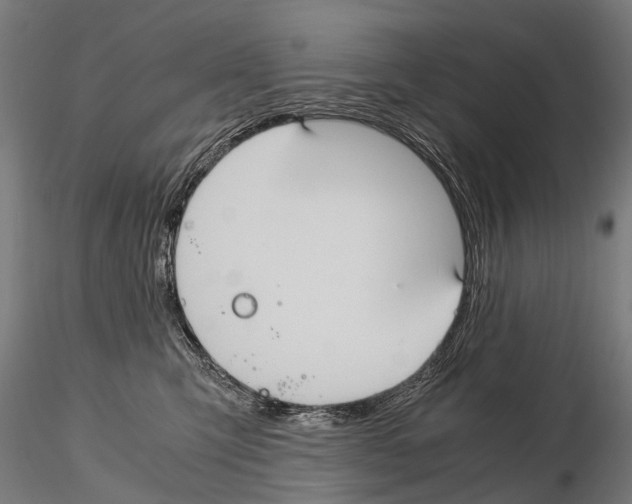 X0000115120423200912081349