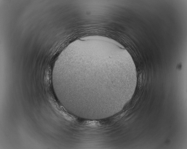 X0000115120424200912081349