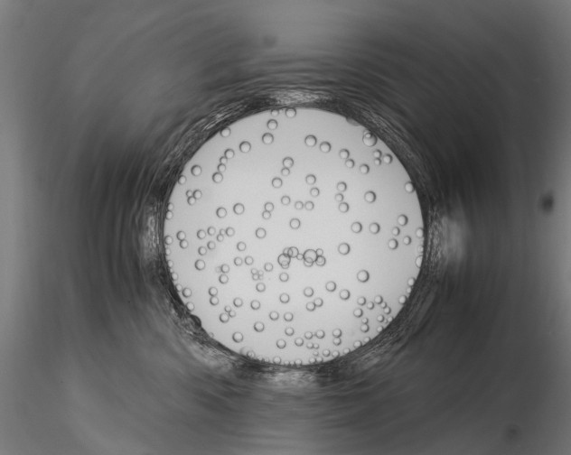 X0000115120426200912081349