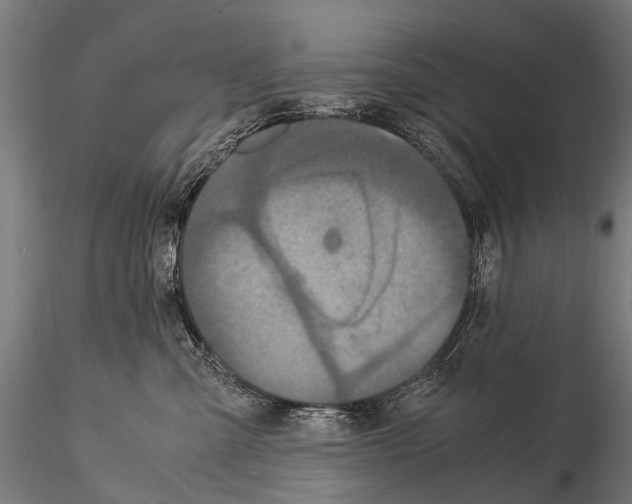 X0000115120427200912081349