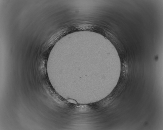 X0000115120428200912081349