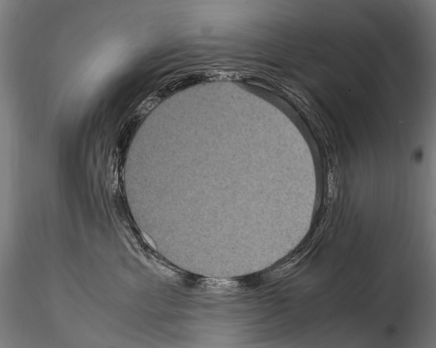 X0000115120429200912081349