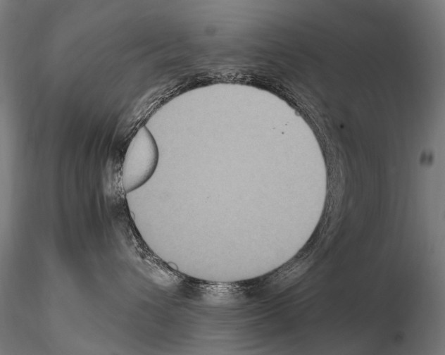 X0000115120432200912081349