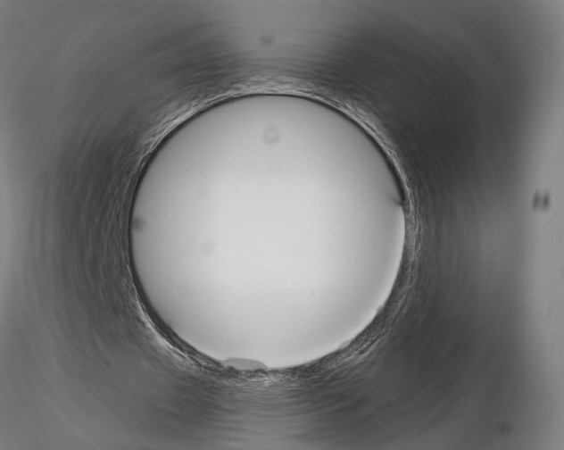 X0000115120433200912081348