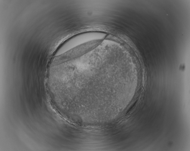 X0000115120434200912081348