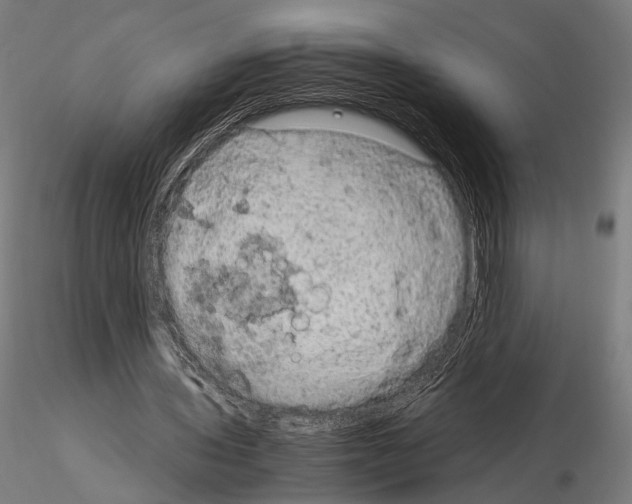 X0000115120435200912081348