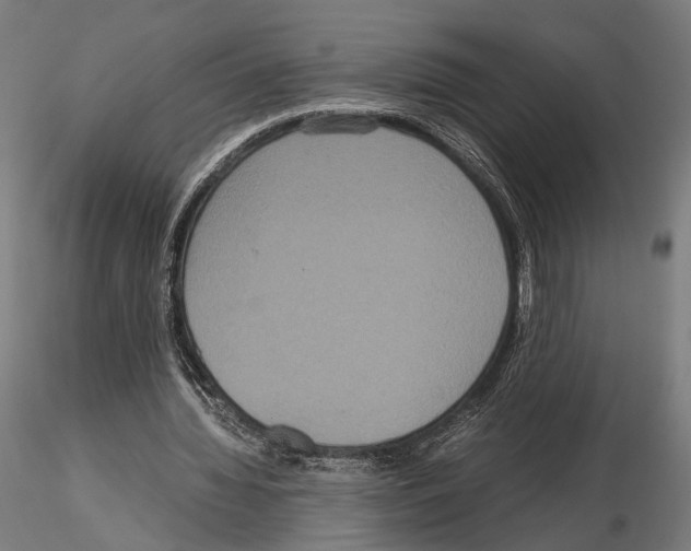 X0000115120436200912081348