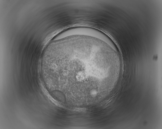 X0000115120437200912081348