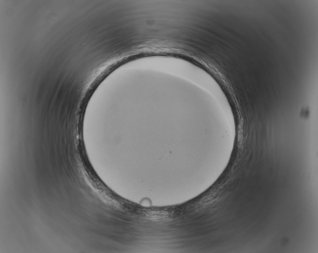 X0000115120438200912081348