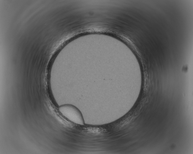 X0000115120439200912081348