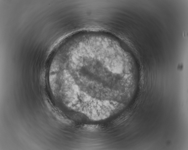 X0000115120440200912081348