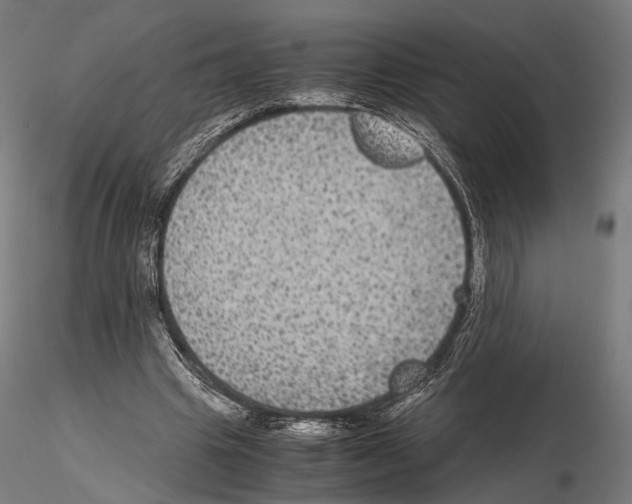 X0000115120441200912081348