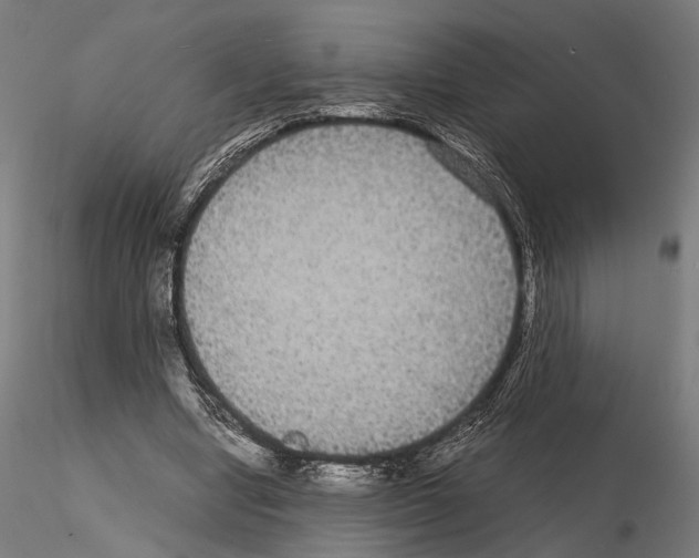 X0000115120442200912081348