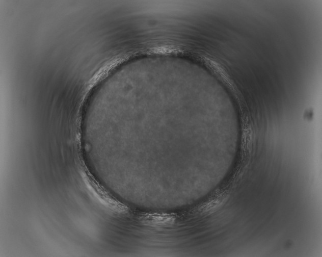 X0000115120443200912081348