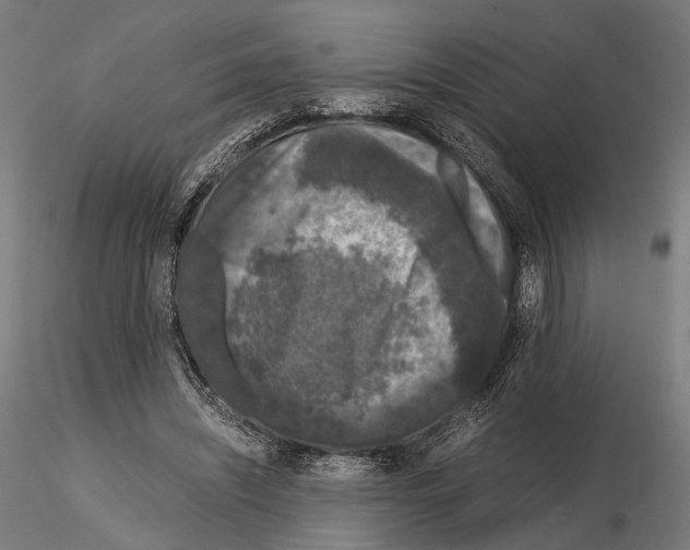 X0000115120444200912081348