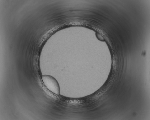 X0000115120445200912081348