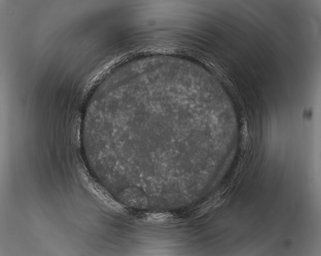 X0000115120446200912081348