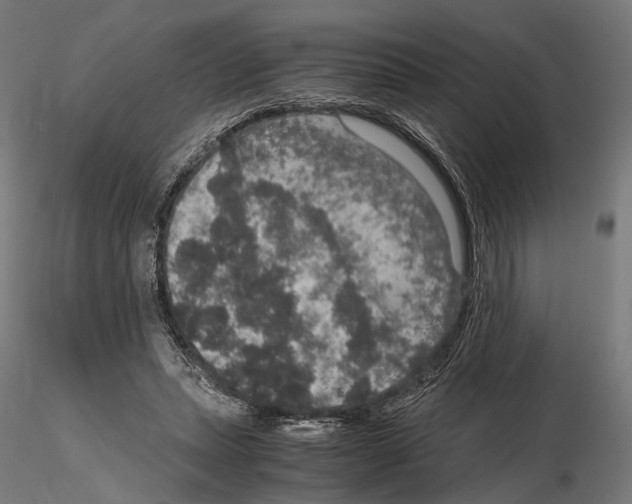 X0000115120447200912081348