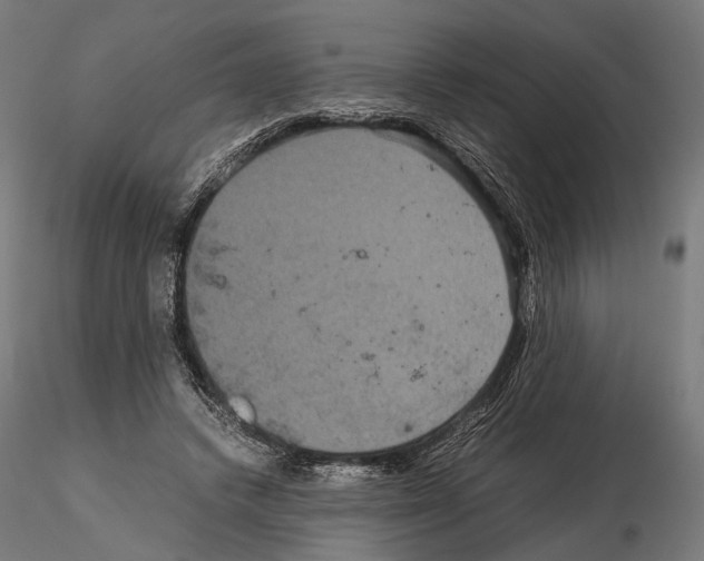 X0000115120448200912081348