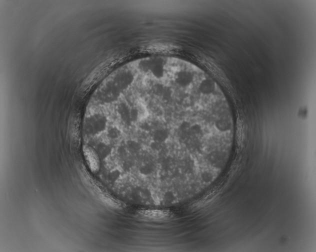 X0000115120449200912081348