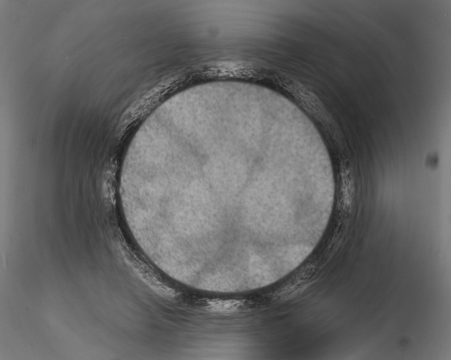 X0000115120450200912081348