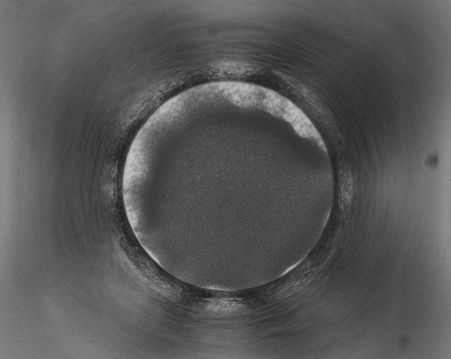 X0000115120451200912081348