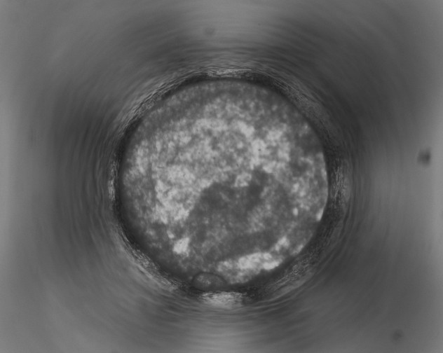 X0000115120452200912081348