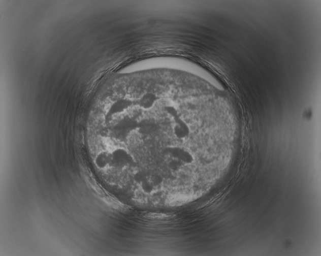 X0000115120453200912081348