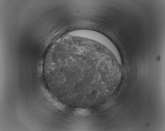 X0000115120454200912081348