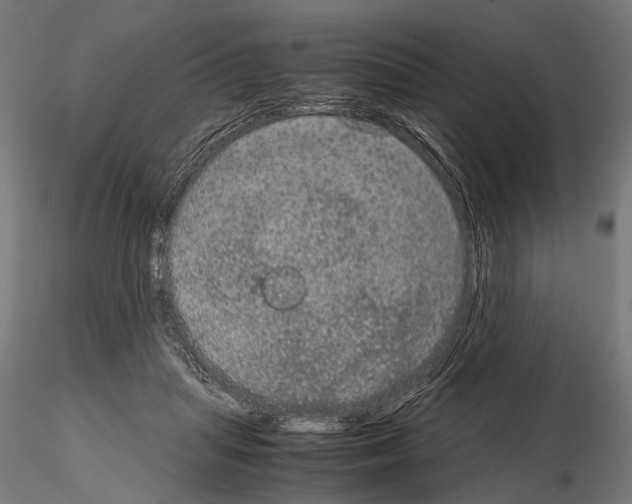 X0000115120455200912081348