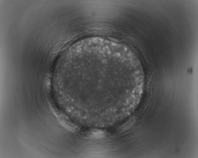 X0000115120456200912081348