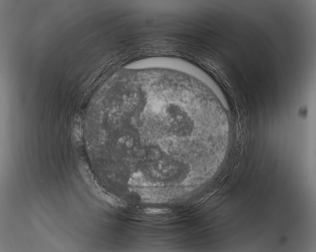 X0000115120457200912081348