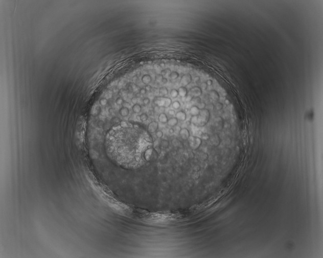 X0000115120458200912081348