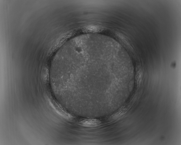 X0000115120459200912081348