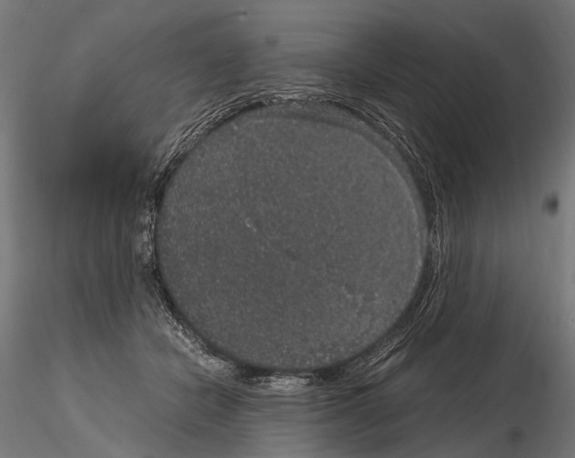 X0000115120462200912081348