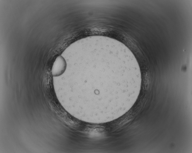 X0000115120463200912081348