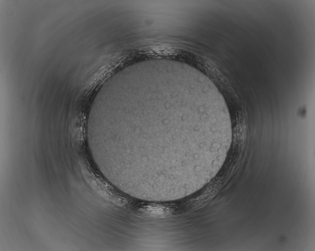 X0000115120464200912081348