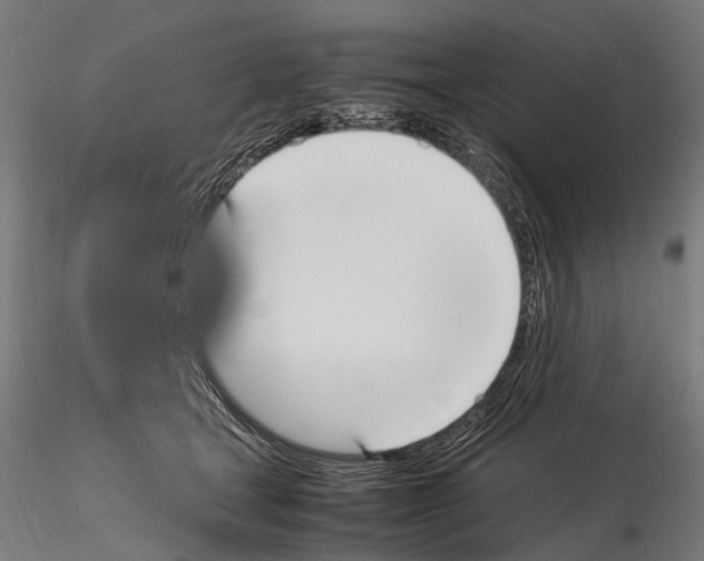 X0000115120465200912081348