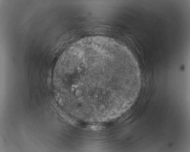 X0000115120466200912081348