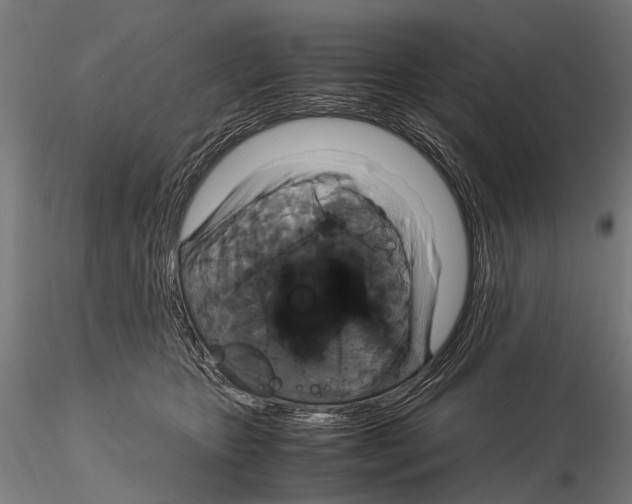 X0000115120467200912081348