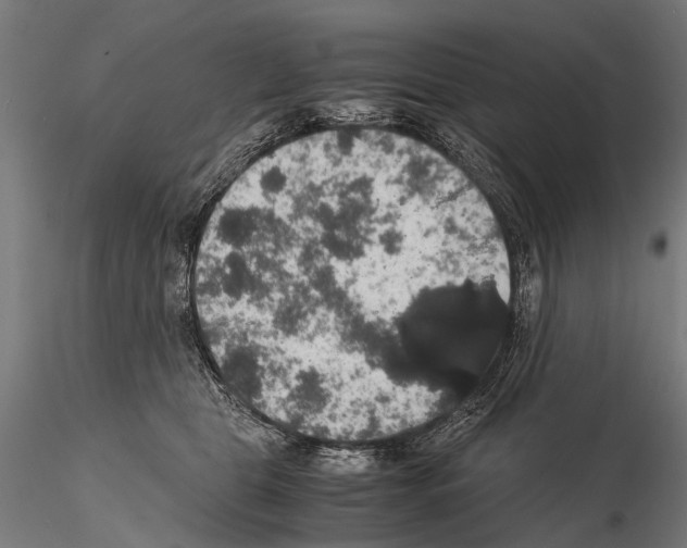 X0000115120469200912081349