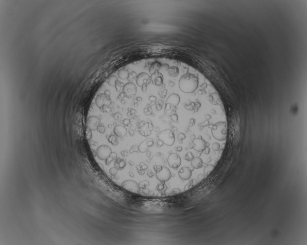 X0000115120470200912081349