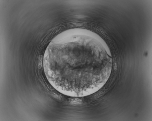 X0000115120471200912081349