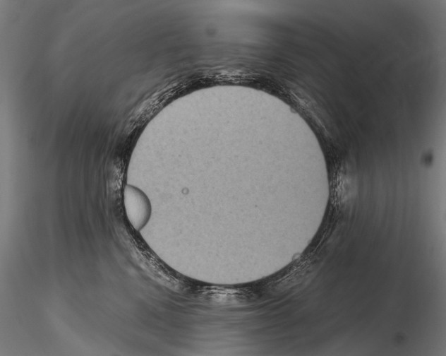 X0000115120472200912081349