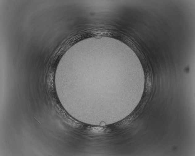 X0000115120473200912081349