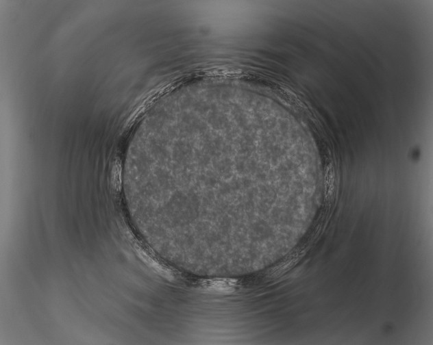 X0000115120474200912081349