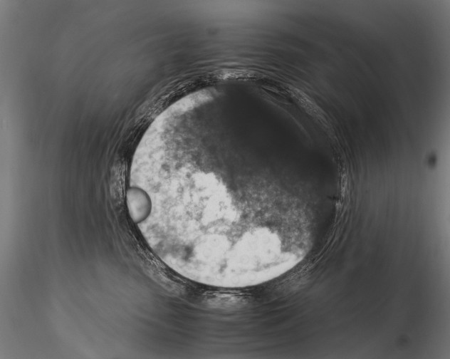 X0000115120475200912081349