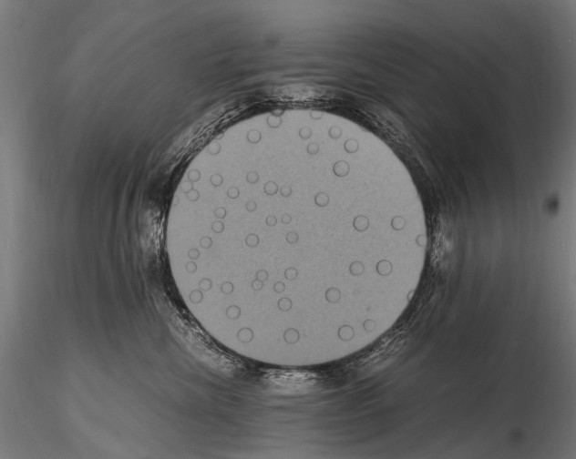 X0000115120476200912081349