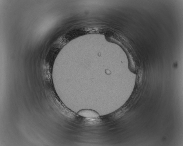 X0000115120477200912081349