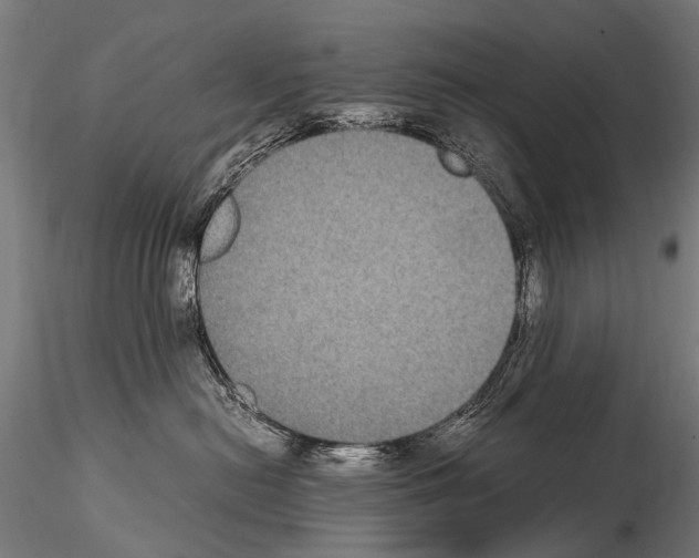 X0000115120478200912081349